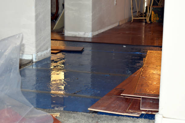 Professional Sewage Cleanup technician working in Babson Park, MA